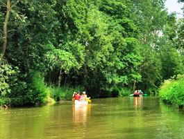 Kanovaren in Marais de Poitevin