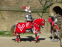 Grand Parc du Puy du Fou