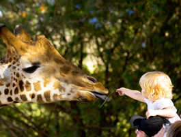 Parc animalier - Charleville-Mézières