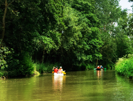 Kanovaren in Marais de Poitevin