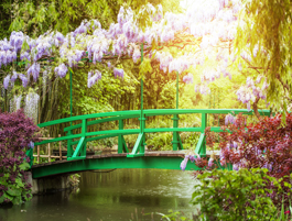 Giverny - tuinen van Monet